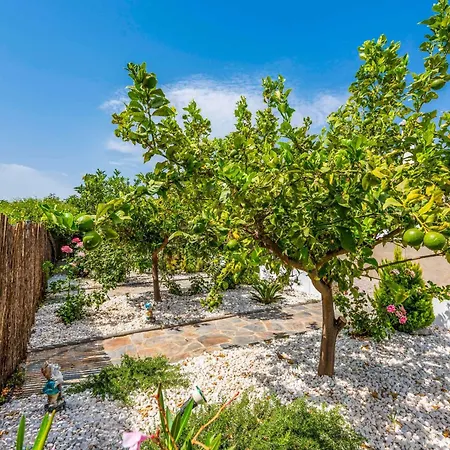 La Marina Villa *